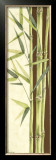 Bamboo Garden II Posters by Ethan Harper