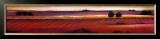 Low Horizons I Prints by A. Taylor