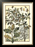 Arts and Crafts Oak Posters by M.P. Verneuil