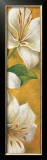 Concert de Lys III Prints by Pierre Viollet
