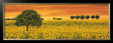 Field of Sunflowers Prints by Richard Leblanc