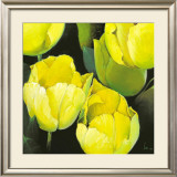 Tulipanes Amarillos Prints by Siena 