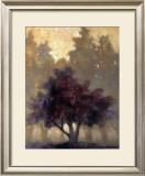 Depth and Tranquility Prints by Connie Geerts