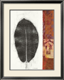 Leaf Study II Posters by Kerry Vander Meer