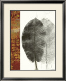 Leaf Study I Prints by Kerry Vander Meer