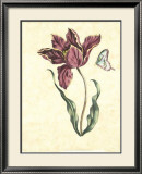 Floral Jubilee II Prints