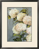 Hortensia Beige Posters by Ximena 