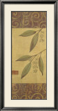 Eucalyptus Leaves II Poster by Gayle Bighouse