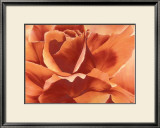 Full in Bloom II Posters by Yvonne Poelstra Holzhaus