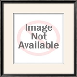 Chateau Margaux Limited Edition Framed Print by Andras Kaldor