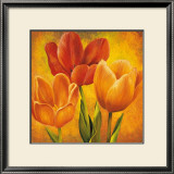 Orange Tulips I Prints by David Pedersen