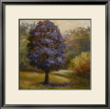 Tree Cast III Prints by Scott Lee