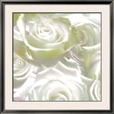 Roses, 2008 Posters by Anne Montiel