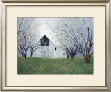 Orchard Blossoms Posters by Ned Young