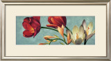 Luce e Colore I Prints by Eva Barberini