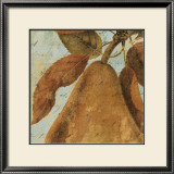 Joli Fruit II Posters by Philippa 