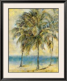 Palm Hammock II Posters by Stiles 