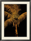 Palm Oro Art by Robert Charles Dunahay