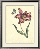 Floral Jubilee I Posters