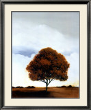 Redwood Hill Print by Scott Steele