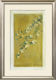 Plum Blossoms II Posters by Paris Gerrard