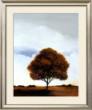 Redwood Hill Prints by Scott Steele