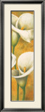 Concert de Callas III Prints by Pierre Viollet