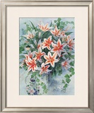 Star Gazers Prints by Mae Book