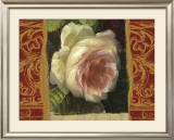 Classic White Rose Art by Tony Lupas