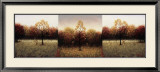 Trois Scenes Prints by Travis Hall