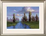 Tribute to Trees Limited Edition Framed Print by Vicki Mcmurry