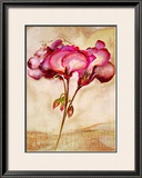 Zonal Pelargonie Posters by Heide Konig