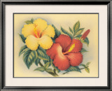 Hawaiian Hibiscus Framed Giclee Print by Eve Hawaii