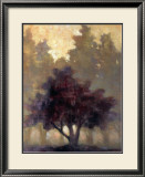 Depth and Tranquility Prints by Connie Geerts