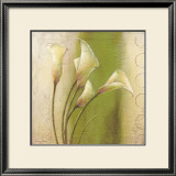 Elegant Callas Posters by Paula Reed