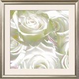 Roses, 2008 Prints by Anne Montiel