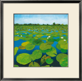 Waterlilies Art by Alexander Hamawi
