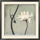 Ivory Blossom Reproducción por Ivo