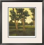 Through the Trees I Limited Edition Framed Print by Larson 