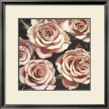 Roses Prints by Elizabeth Hellman