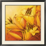 Sunny Orange Prints by Alicia Sloan