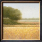 Wheat Field Prints by Hans Dolieslager