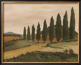 Shady Tuscan Road Posters by J. Clark