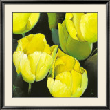 Tulipanes Amarillos Posters by Siena 