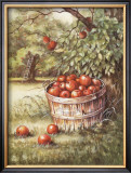 Apple Orchard Art by Peggy Thatch Sibley