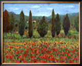 Poppies Posters by Paul Curtis