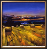 Harvest Sunset Limited Edition Framed Print by Davy Brown