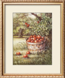 Apple Orchard Prints by Peggy Thatch Sibley
