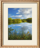 Summer in Masuren II Prints by Fasani 