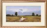 Evening on a Marsh Posters by Peter Sculthorpe